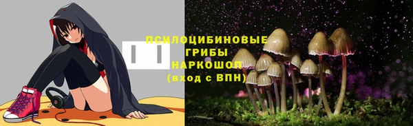 крисы Абаза