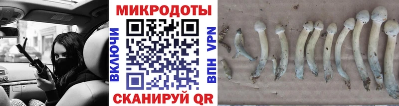 Псилоцибиновые грибы Magic Shrooms  Зея 