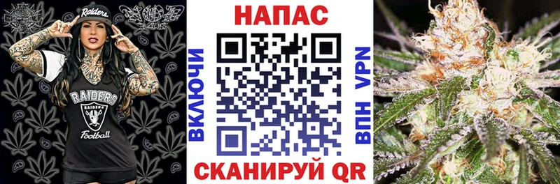 цена   Зея  Каннабис конопля 